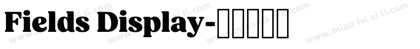 Fields Display字体转换